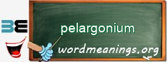 WordMeaning blackboard for pelargonium